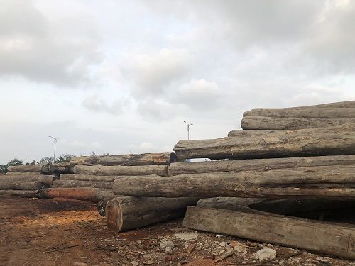 木料厂_可信赖的海南木材厂在海口