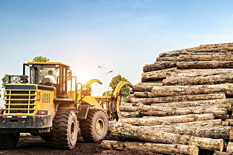 国外木材产业发展现状