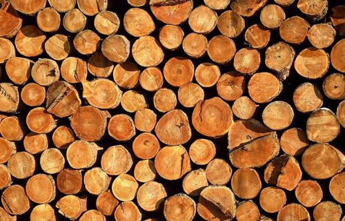 美国对加拿大进口木材征税致引发连锁反应