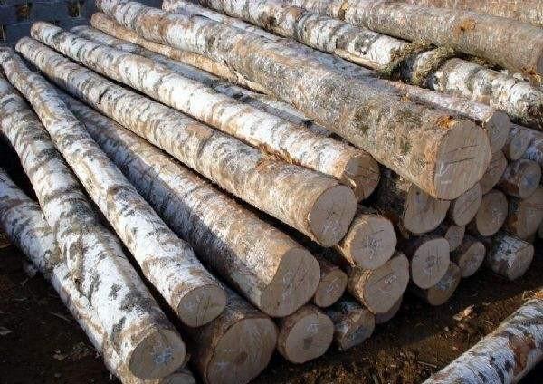 木材进口代理报关i深圳木材进口报关清关时效