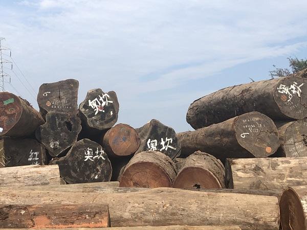 产品库 原材料 建筑建材 木质材料 建筑木方厂家_海南哪里有供应品质