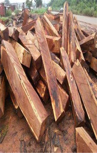 刺猬紫檀木材进口清关流程:  1,国外林场(确认货已备齐)  2,订