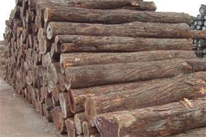 尼日利亚木材进口最专业报关公司