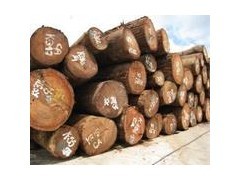 国外的木材进口一般贸易进口报关