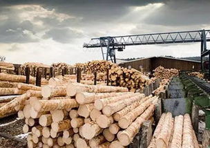 一点讯息 白俄罗斯将木材出口许可证制度延长半年